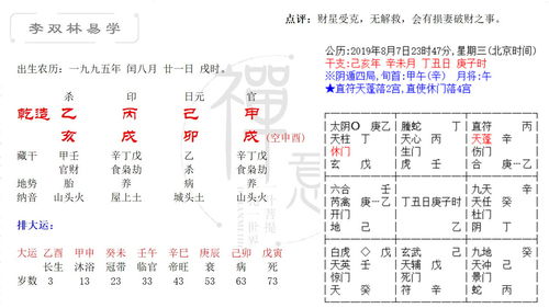 水与木的关系：滋养与促进