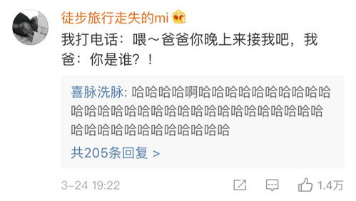 六字网名之审美与风水兼容性的系统性探讨