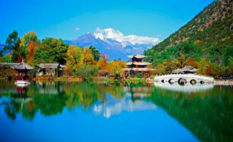 案例详解：2023年10月的74人团