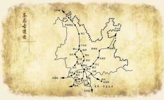 3．外贸网络与海外传播
