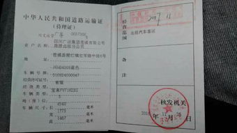 感恩节领证结婚的文化意蕴与时空法则的深度解析