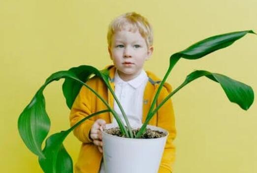 11画字推荐，  寓意吉祥又好听