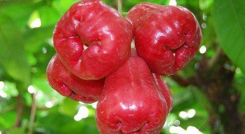 3. 沙拉搭配：创意无限与营养互补