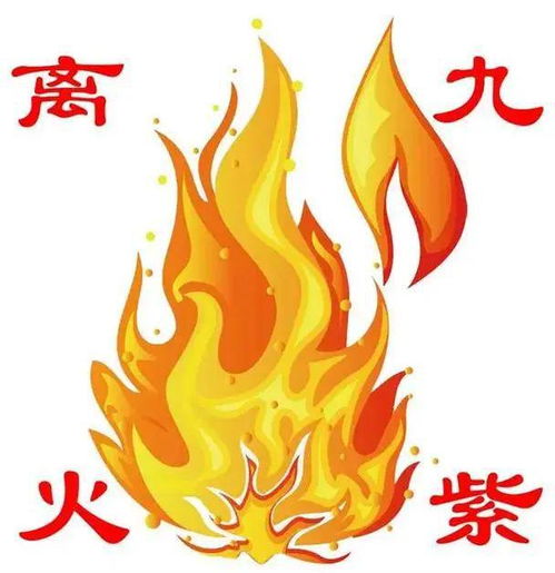 三、 生肖属相对九紫离火运的不同行业适配度