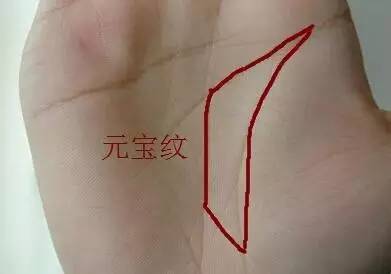 三、 土形式掌（又称“较大块状”或“圆筒状”）