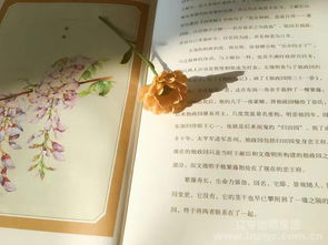 二、 星座解读：最具较小资情调的女性群体类型