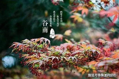 二、“桃花水”与“谷雨贴”：传统消灾纳吉仪式的象征意义与实证依据