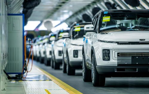 2030年属狗本命年，有没有属狗吉利手机号码前十名推荐？