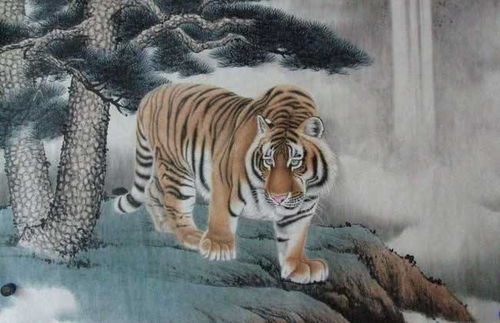 2026年属虎女性财运具体表现是怎样的？