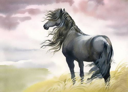 属马女2026年会有贵人相助，转运情况如何？