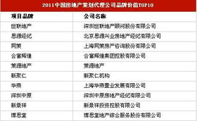 第二章：品牌差异化战略与名号唯一性的辩证关系