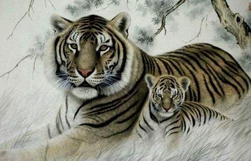 2026年属虎人运势和1979年属羊人全年运势分别如何？