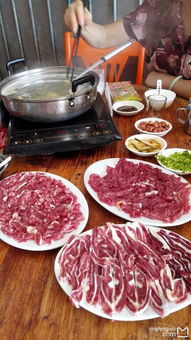 网络平台上关于牛肉火锅的舆情数据概览