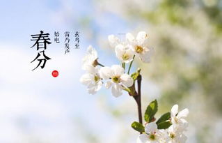 2、 吃春菜：饮食习俗中的祈愿