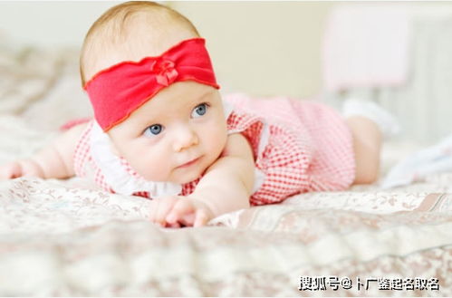 一、 从诗词歌赋中汲取灵感