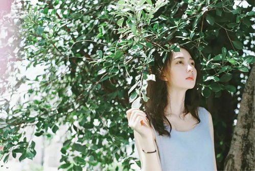 一、 乱七八糟的灵感来源（随便列）