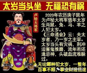 2．属鼠者——冲荡年份引起意外频发