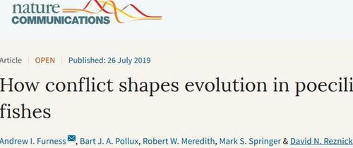 （三）色彩与材质运用