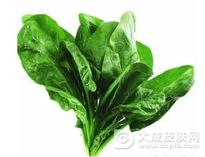 （二） 蔬菜类：清热解毒与扶正固本的绿色嫩量