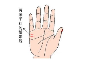 现代版骨相学：笑到抽筋的当代演绎