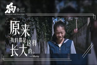 “招魂”游戏形态与风险评估