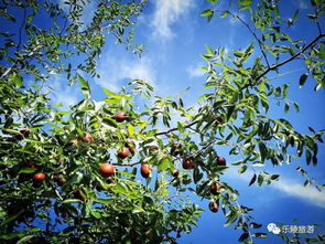 帮助与感恩？我看是道德绑架！