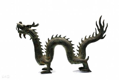 属龙人创业公司名字精选