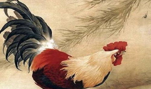 1981年属鸡人2026年农历二月财运运势详解具体如何？