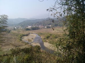 峦头与理气的相互作用