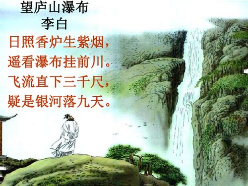 四、 健康养护与情绪管理建议