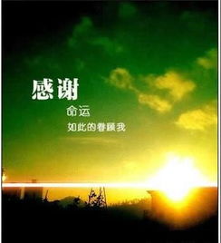 情感运势：幸福美满的可能性及其影响因素