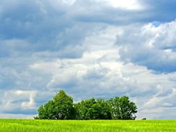 仙气飘飘的古诗名字，能否改写成一句长尾？