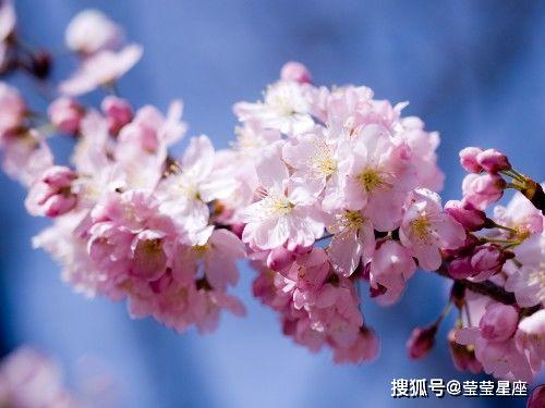 一、 桃花星与婚姻阻碍的解析