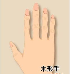 四、 手相理论与命运走向之关联阐释