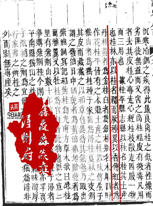 典型案例分析