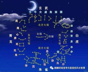 绝了！五行相生相克原来这么好玩