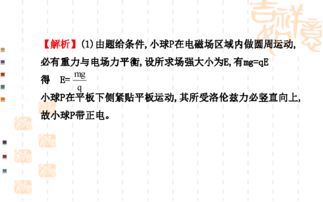 三、特殊组合案例探究