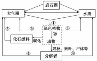 关键布局原则