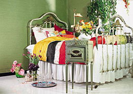 一、植物选择与摆放位置的风水考量