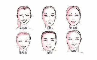 圆脸人的内在潜力和贵人助力