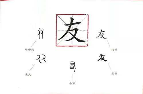 三、  对神秘“金字旁”汉字的关注