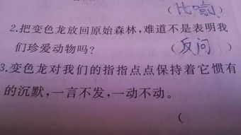 三、 修辞手法运用：提升哲理深度