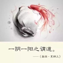 序言：生肖星象与风水之隐喻——解读“乌鸦夜啼”的宿命谶语