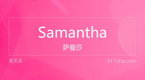 整体解析：一场关于成长与蜕变的旅程