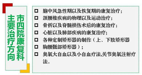 ：金属性名号在古典张力与现代审美之间的跨时代融合探析