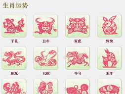 生肖龙：聪慧机智与先苦后甜的人生轨迹