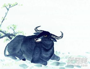 探究背景与意义