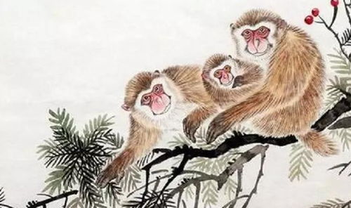 2026年32岁生肖猴每月运势具体如何？