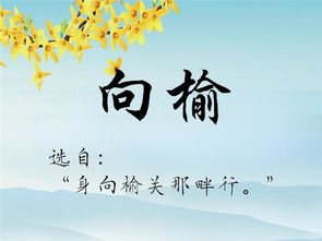 三、考虑曲风与意境：恰到良好处的名字