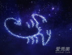 1. 水瓶座同性配对（男/女）